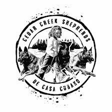 Cedar Creek Shepherds