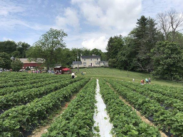 Wegmeyer Farms