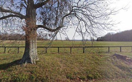 Hickory Tree Farms - VA79