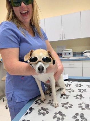 Franklin Farm Veterinary Clinic