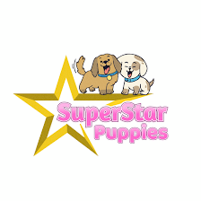 SuperStar Puppies