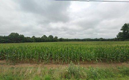 Harmony Creek Farm