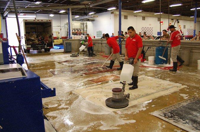 Hadeed Carpet Cleaning, Inc.