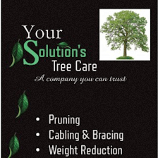 Your Solution's Tree Care