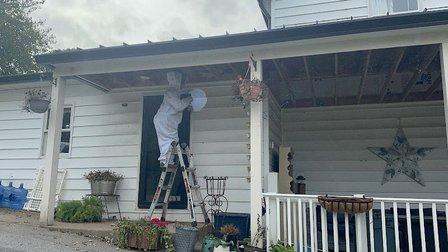 Green Pest Services - Chantilly
