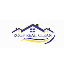 Roof Real Clean
