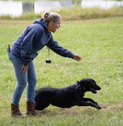 Hunter Mill Retrievers, LLC
