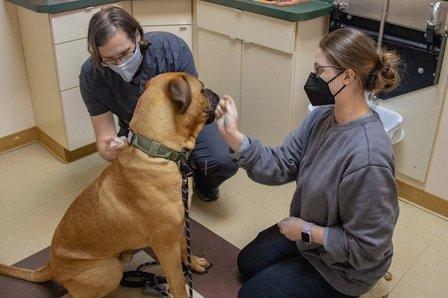 Alpha Animal Hospital