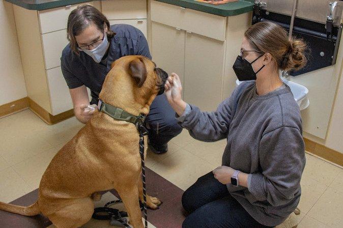 Alpha Animal Hospital