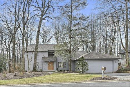 Liz Potemra, Realtor
