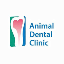 Animal Dental Clinic