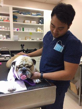 Old Towne Veterinary Clinic