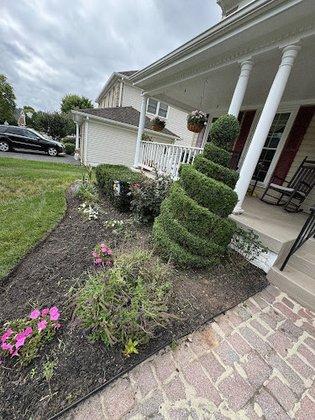 Kings tree service LLC
