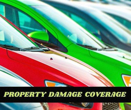 Tango Insurance