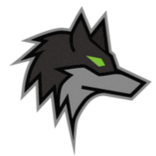 Dark Wolf Solutions, LLC