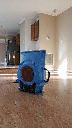 BioShock Odor Removal