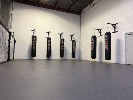 Pinnacle MMA and Fitness
