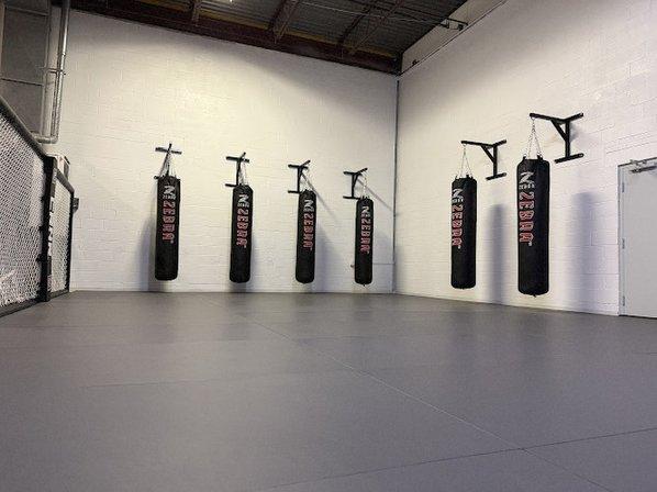 Pinnacle MMA and Fitness