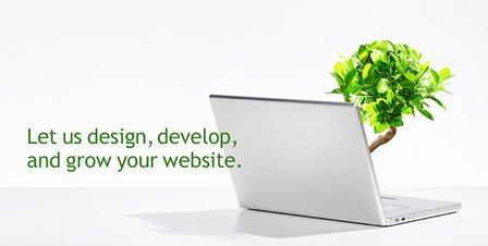 NOVA Web Group