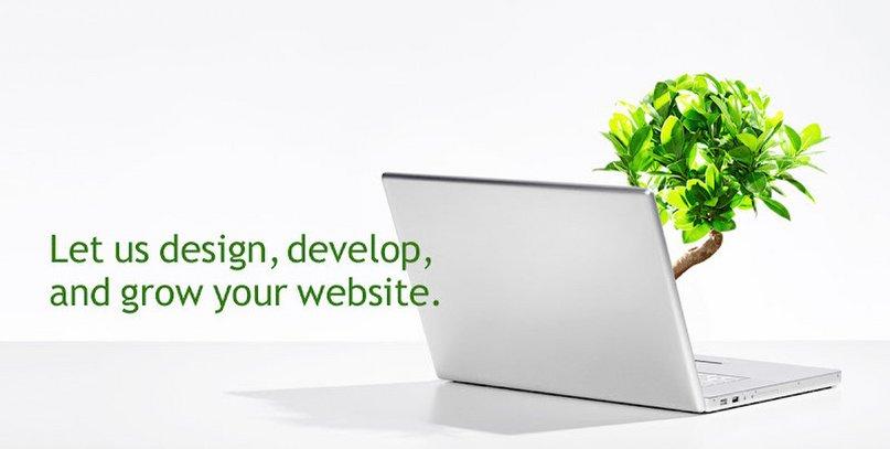 NOVA Web Group
