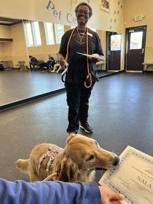 AG DOGS OBEDIENCE SCHOOL AND BEHAVIORAL SERVICES