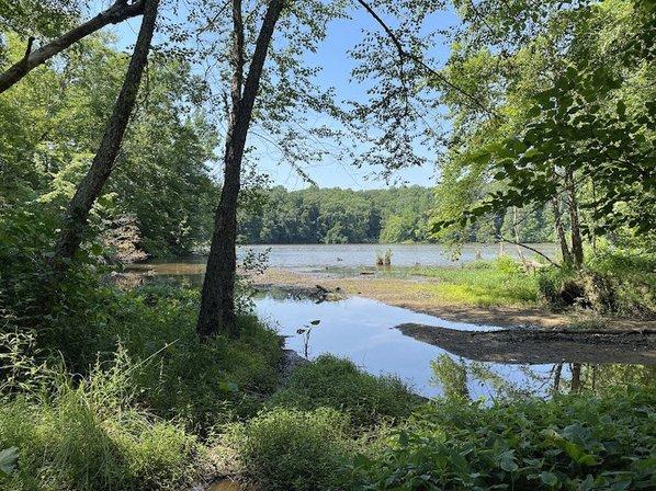 Bull Run Occoquan Trail