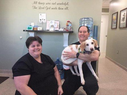 Animal Dental Clinic