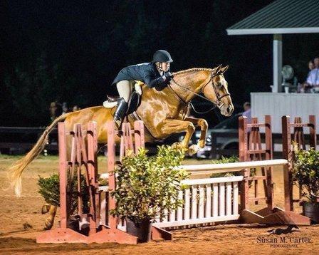 Picturesque Farm Llc