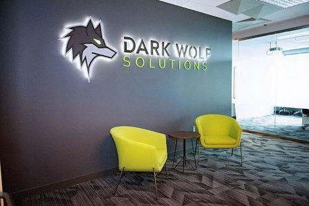 Dark Wolf Solutions, LLC