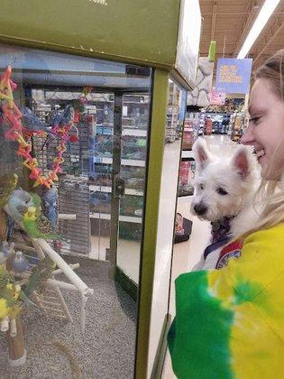 Petco