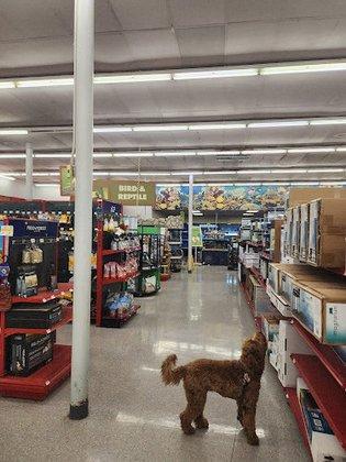 Petco
