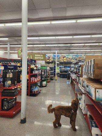 Petco