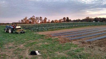 Willowsford Farm