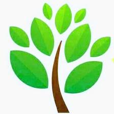 Solana Landscapes