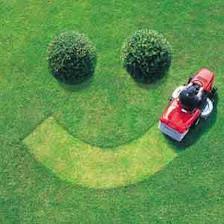 Northern Virginia Lawn Service