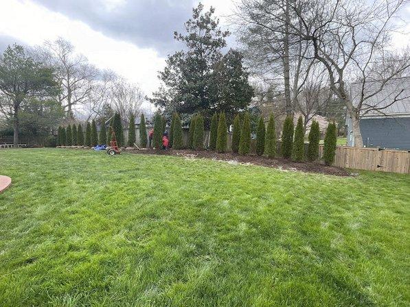 Stokes Tree Solutions