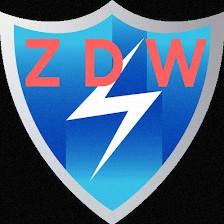 ZAGO DATA WIRE