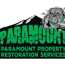 Paramount Property Services LLC