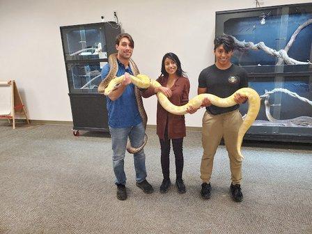 Raging Reptiles