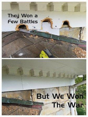 Pest Proof Pest Management