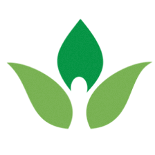 Creative Gardens