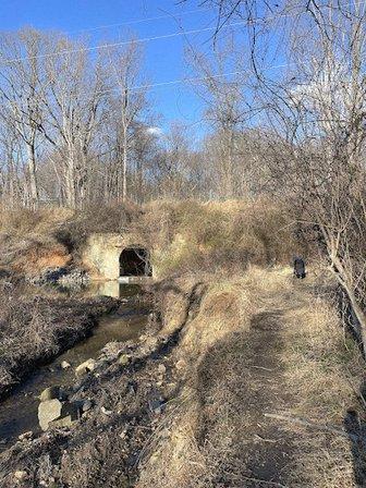 Rafael’s Creek
