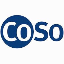 CoSolutions, Inc.