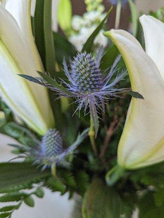florist