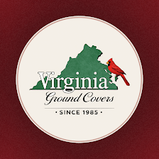 Virginia Ground Covers