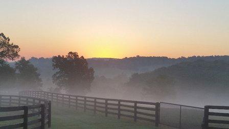 Stonehall Farm