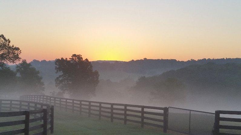 Stonehall Farm
