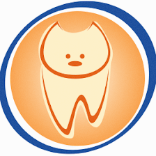 Animal Dentistry & Oral Surgery