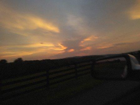 River Farm Sporthorses