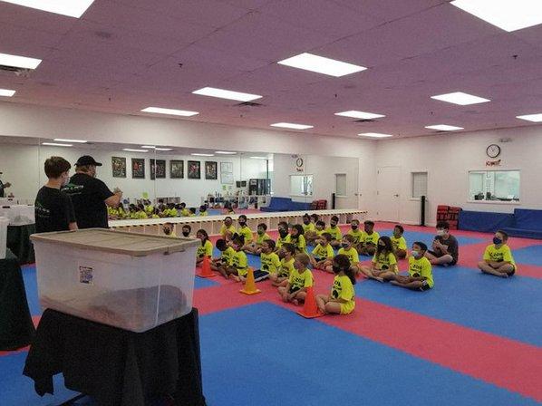 K - Zone Taekwondo